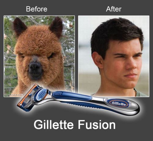 Before and After