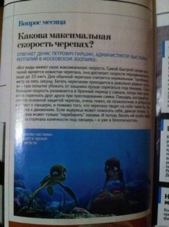 Empire о черепахах