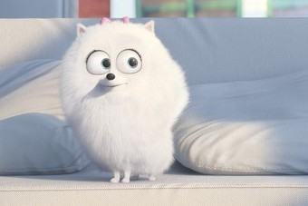 Подробнее о статье РАЗБИРАЯ ПРЕМЬЕРЫ 18 АВГУСТА: «ТАЙНАЯ ЖИЗНЬ ДОМАШНИХ ЖИВОТНЫХ», «ПАРНИ СО СТВОЛАМИ»